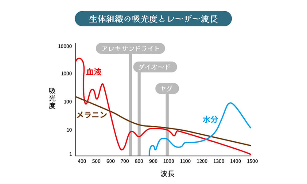 生体組織の急光度とレーザー波長のグラフ