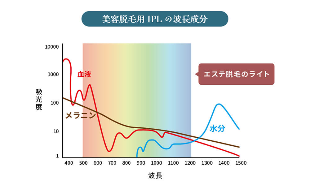 美容脱毛（IPL）の波長成分のグラフ