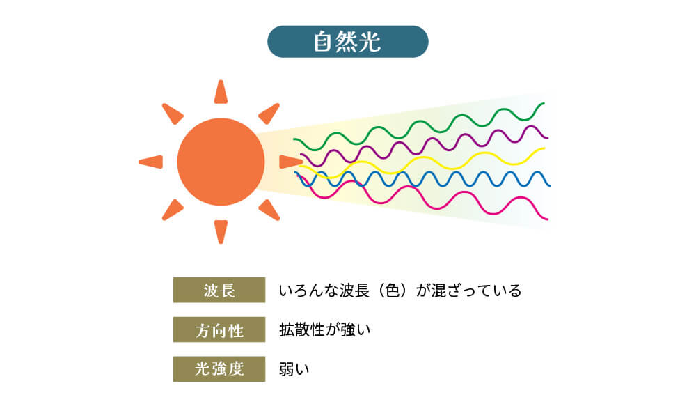 自然光の説明のイラスト