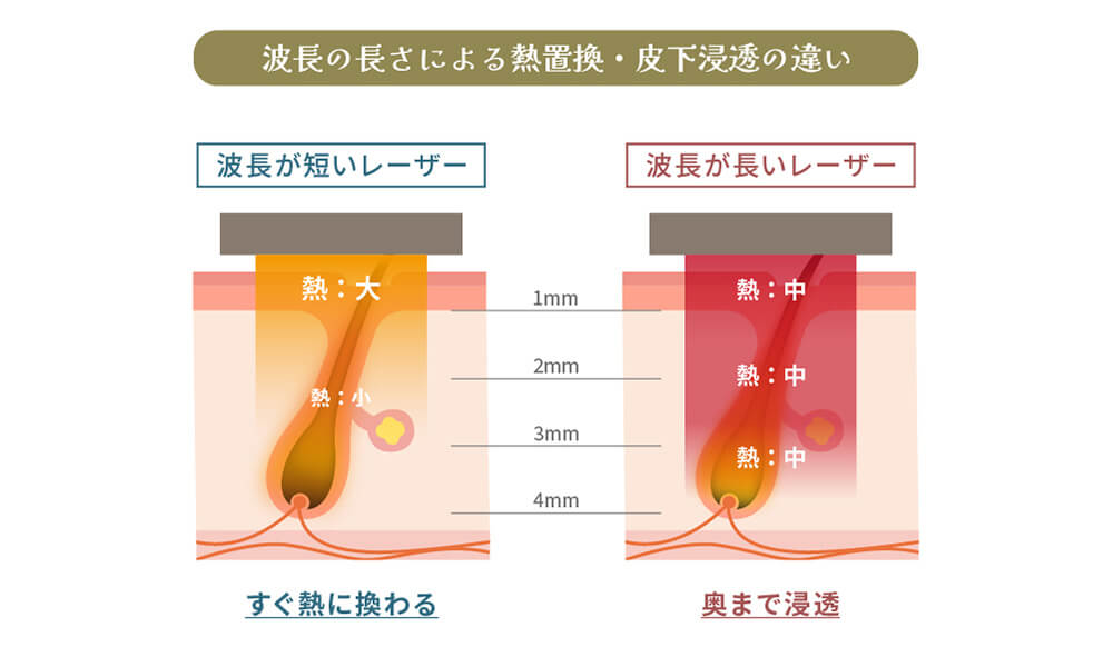 波長の違いによる「熱の伝わり方」と「浸透の深さ」のイラスト